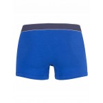 LACOSTE - Set van 3 shorts - marine/rood/blauw
