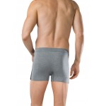 Schiesser Short Cotton Essentials 2-pack- Grijs