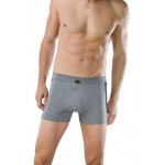 Schiesser Short Cotton Essentials 2-pack- Grijs
