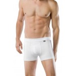 Schiesser Short Cotton Essentials 2-pack- Grijs