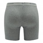 Sloggi Basic Long heren - grijs